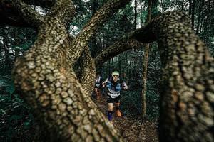 BIB: 
                            <button type="button" onclick="openModal(25393508)" class="btn btn-primary btn-sm float-right btn-popup" data-toggle="modal" data-target=".modal-high-quality">
                        <i class="fas fa-shopping-cart"></i> Add to Cart
                    </button>
                                            <button type="button" onclick="isThisMe(25393508, true)" class="btn btn-success btn-sm float-right btn-popup btn-isme hidden" data-toggle="tooltip" data-placement="bottom" title="นี่คือรูปของคุณใช่ไหม คลิกที่นี่เพื่อเอาเข้าอัลบั้ม">
                        <i class="fas fa-plus"></i> Add to album
                    </button>
                    <button type="button" onclick="isThisMe(25393508, false)" class="btn btn-warning btn-sm float-right btn-popup btn-isnotme hidden">
                        <i class="fas fa-ban"></i> Remove from album
                    </button>